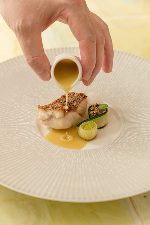 Charcoal grilled blue grouper with green olive sauce and oolong tea foam